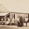 Vineyard Workers at Dalwood near Branxton 1880. SLNSW